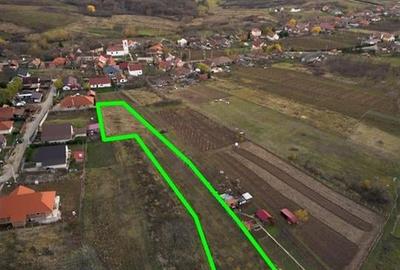 RECO . Teren intravilan Saldabagiu de munte . - 8