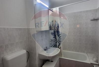Apartament cu 3 camere de inchiriat in zona Micalaca - 11