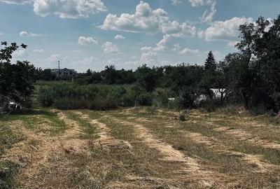 Teren de 1493 mp, în Central - 10