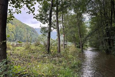 Teren de 1000 mp, în Șugag - 3