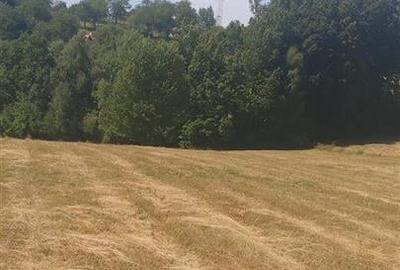 RECO, Teren intravilan, zona Sinteu, 2 Km de Huta Slavia - 4