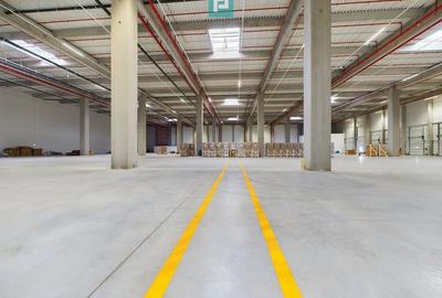 Spatii depozitare clasa A, zona Stefanesti - Soseaua de centura Nord - 5