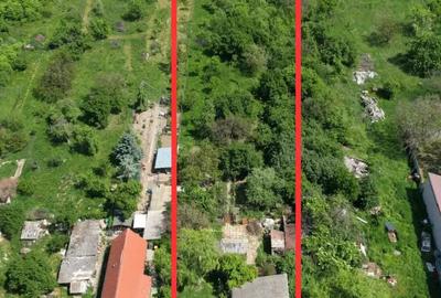 Teren generos cu casa, Timisoara Bujorilor, urbanism pentru S+P+1+M, investitie - 3