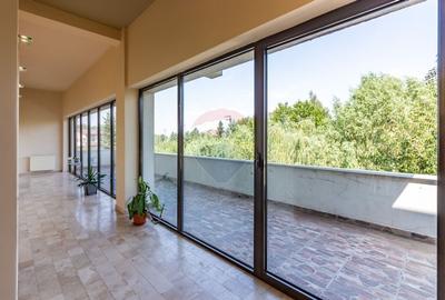 Vila de vanzare Laguna Albastra Corbeanca I 5 camere I 1000 mp curte - 12