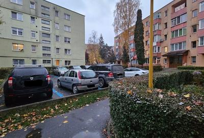 Apartament 2 camere,  bloc izolat, parter-zona Florilor. - 6