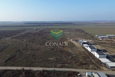 Teren Construcții intravilan de 10000 mp, în Nord - 9