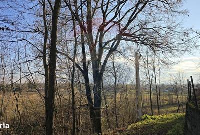 Teren de 10860 mp, în Gălănești - 17