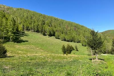 Teren de vânzare, zonă turistică - 2