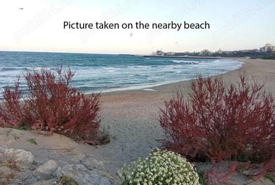 Apartament cu 2 camere decomandat în Central - 4