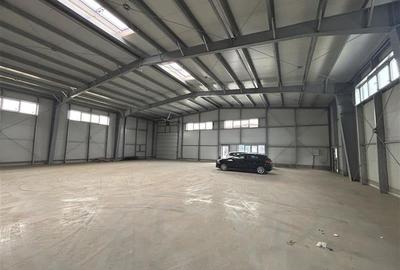 OCAZIE...BLACK FRIDAY...Inchiriere depozit/hala/spatiu industrial Pantelimon - C - 2