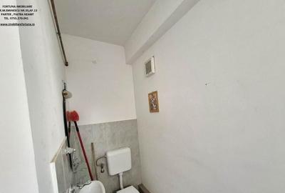 Proprietate D-va Rosie, pretabila pentru activitati economice/locuit - 5