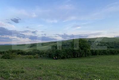 Teren de 21450 mp, în Turda - 2