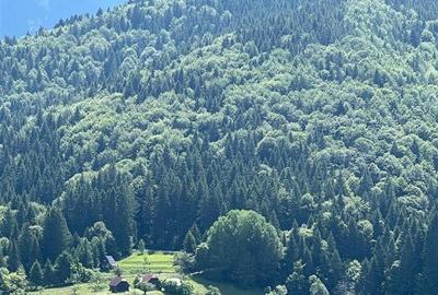 Teren Bran- zona Simon 10283 mp , Balaban, Brasov - 4