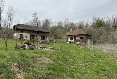 Teren de 2700 mp, în Pietrari - 1