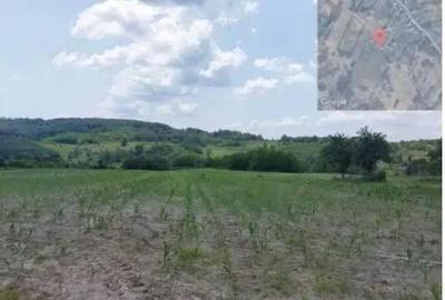 Teren extravilan loc. , Jud Gorj - 1