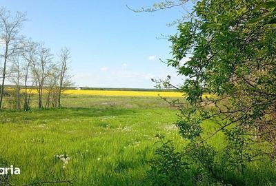 Teren de 3700 mp, în Periș