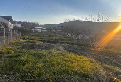 Teren Intravilan 700mp valea jelnei - 2