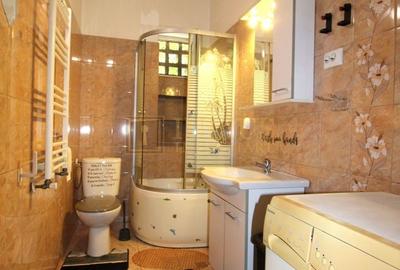 Apartament cu 2 camere semidecomandat, mobilat în Medicină - 12