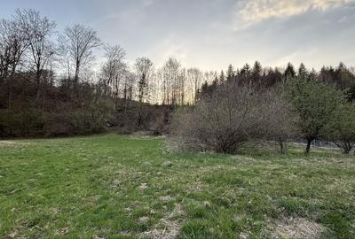 Teren de 5022 mp, în Măliniș - 8