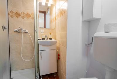Apartament cu 2 camere semidecomandat în Calea Victoriei - 23
