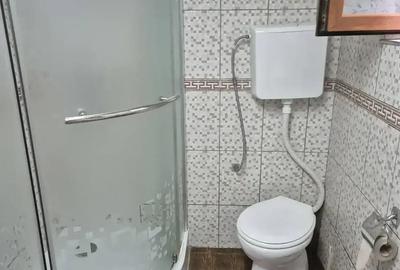 Casă cu 3 camere în Coman - 2