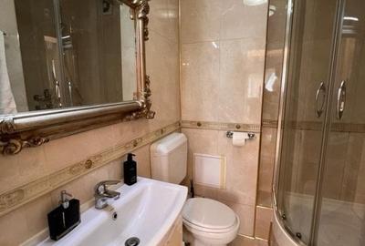 Inchiriere      apartament 3 trei camere  decomandate - lux -Bdul Unirii - Bosch - 13