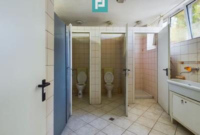 Spațiu industrial, de 445 mp, în Aradul Nou - 14