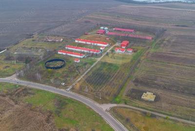 Teren de 43708 mp, în Scobâlțeni - 6
