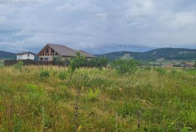 Teren Construcții extravilan de 502 mp, în Hărman - 5