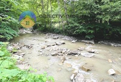 TEREN intravilan   8.000 mp TARCAU - 9