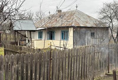 Vand casa cu gradina - 1