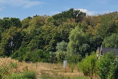 Teren de 699 mp, în Țegheș - 4