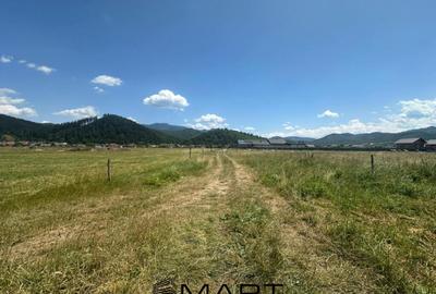 Teren de 7500 mp, în Râșnov - 2