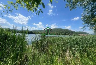 Teren de 3200 mp, în Goranu - 4
