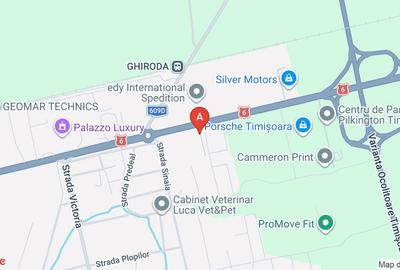 Teren Construcții intravilan de 11363 mp, în Ghiroda - 1