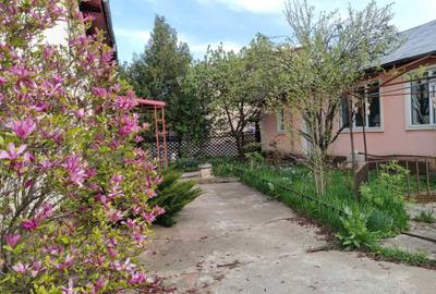Casă cu 4 camere în Central - 2