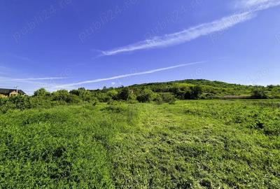 Teren intravilan Vranesti , Calinesti Arges - 5