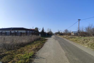 Gradistea/Zona padure - 4