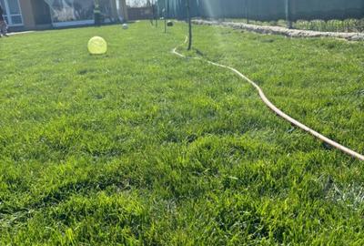 Casă cu 4 camere cu Teren 1000 Mp în Grădiștea - 6