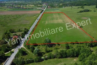 Teren de 69700 mp, în Tigveni - 7