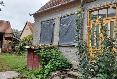 Casa Simeria 8 km de Deva,jud Hunedoara zona buna si linistita langa parcul dentrologic - 7