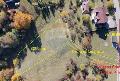 Teren valoros 2,000mp BRAN/Utilitati/Pensiune/Priveliste panoramica - 2