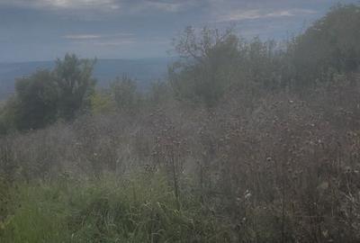 Spațiu comercial, în Șărmășag - 6