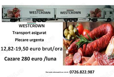 Westcrown angajeaza personal - 2