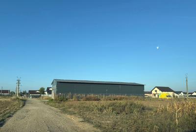 Spațiu industrial, în Crevedia - 3