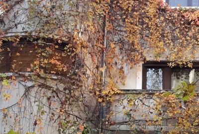 Spațiu comercial, în Dacia - 1