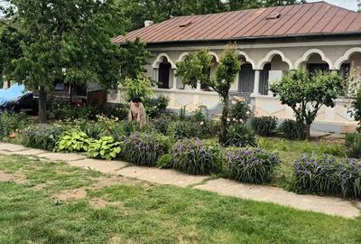 Casa Crevedia Mare Giurgiu Casa Crevedia Mare Giurgiu - 4