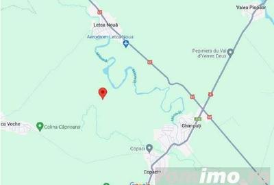 Teren extravilan arabil Ghimpati, ID: R1964895 - 6