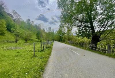 Teren de 839 mp, în Valea Doftanei - 2