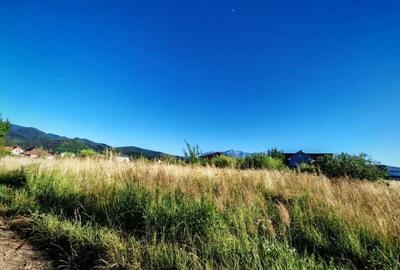 Teren intravilan 1000 mp pt construcții case Cristian str Nisipului - 1